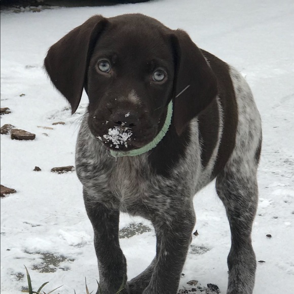 Meet your Posher, Catherine - Picture 1 of 1